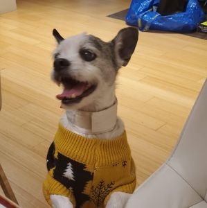 Meet your Posher, Kt